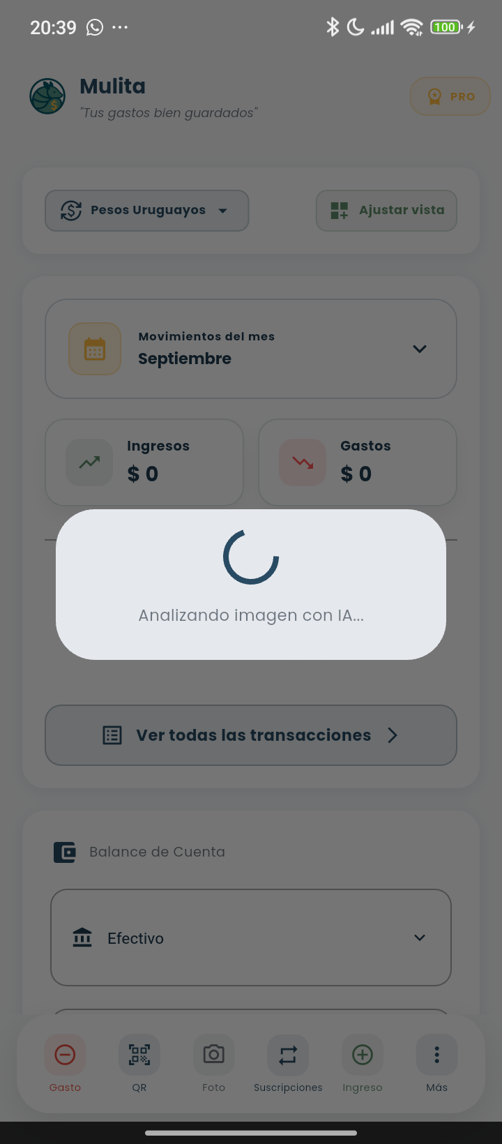 Mulita analizando imagen con IA